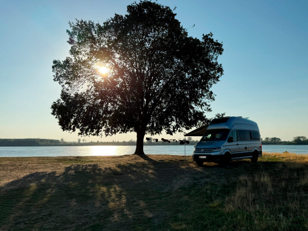 Campervan unter einem großen Baum am Donauufer im Abendlicht